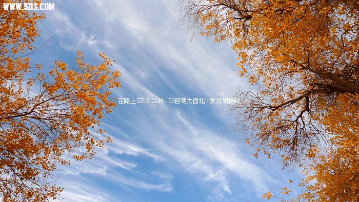 P1080177.jpg