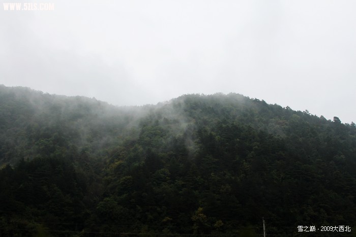 Ƭ 919.jpg