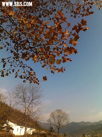 nEO_IMG_20091116305.jpg