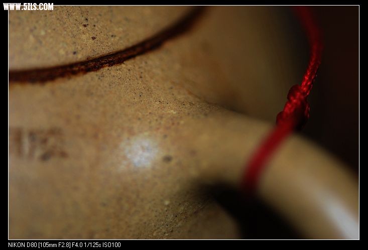 nEO_IMG_DSC_4462.jpg