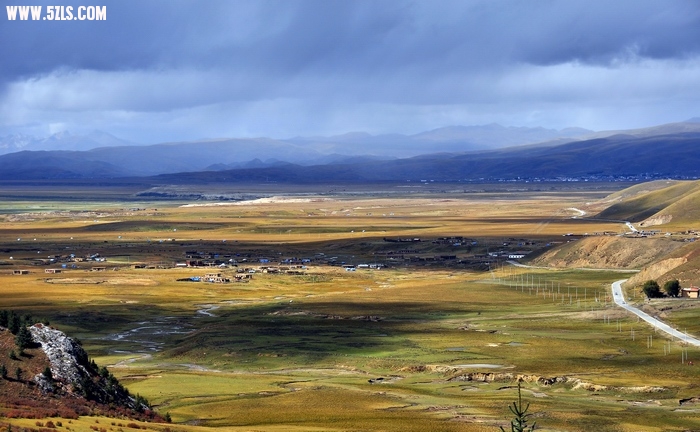 DSC_0305.jpg
