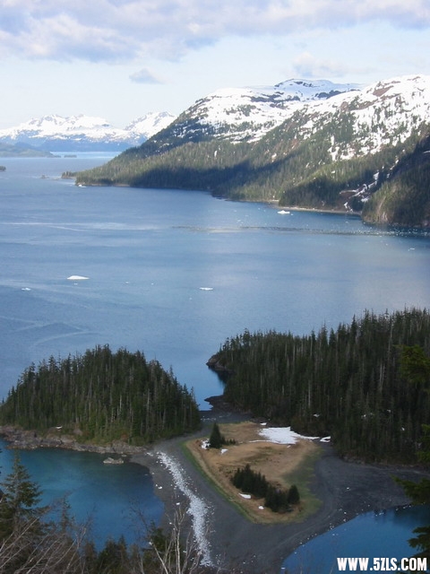 Campsite near Icy Bay.jpg