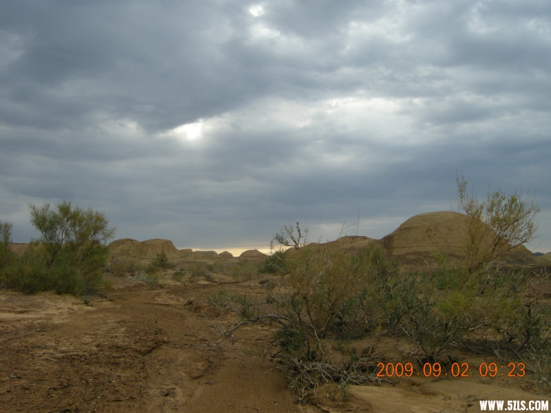 DSCN1767.JPG