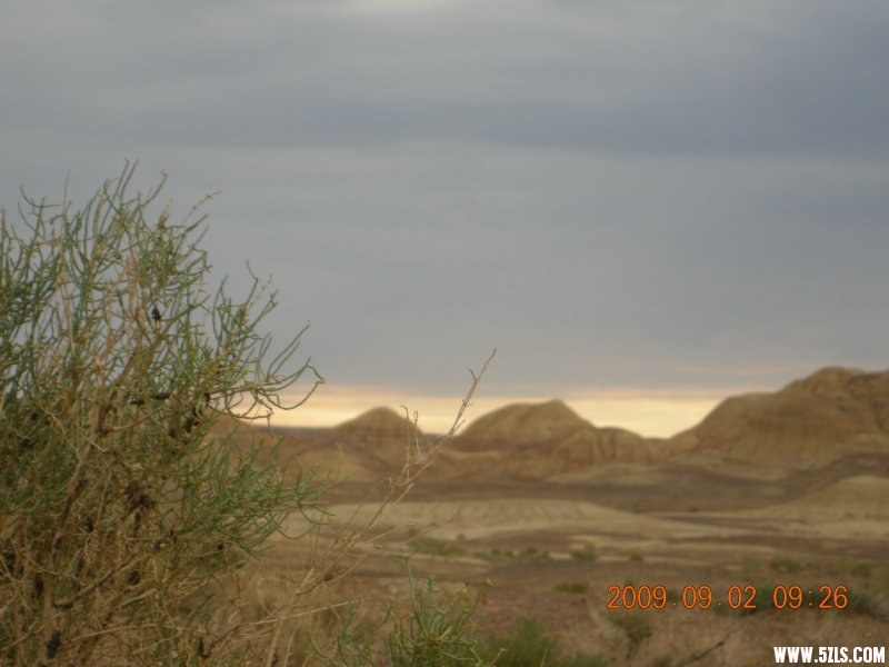 DSCN1769.JPG
