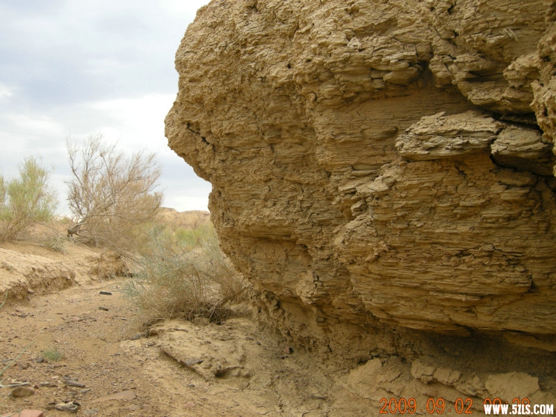 DSCN1770.JPG