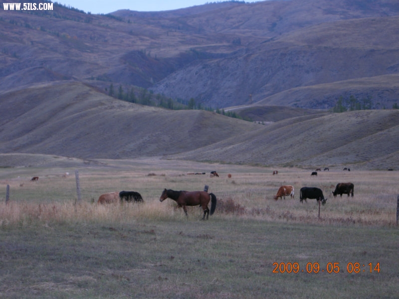 DSCN2400.JPG