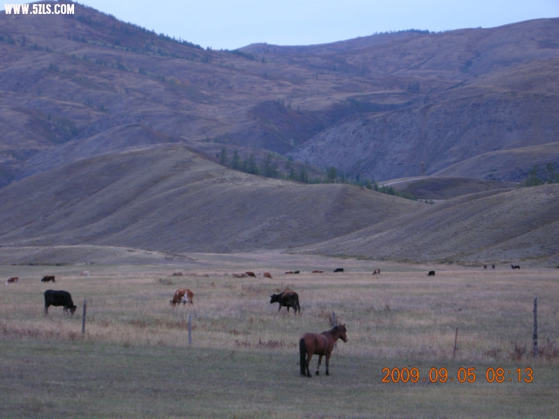 DSCN2399.JPG