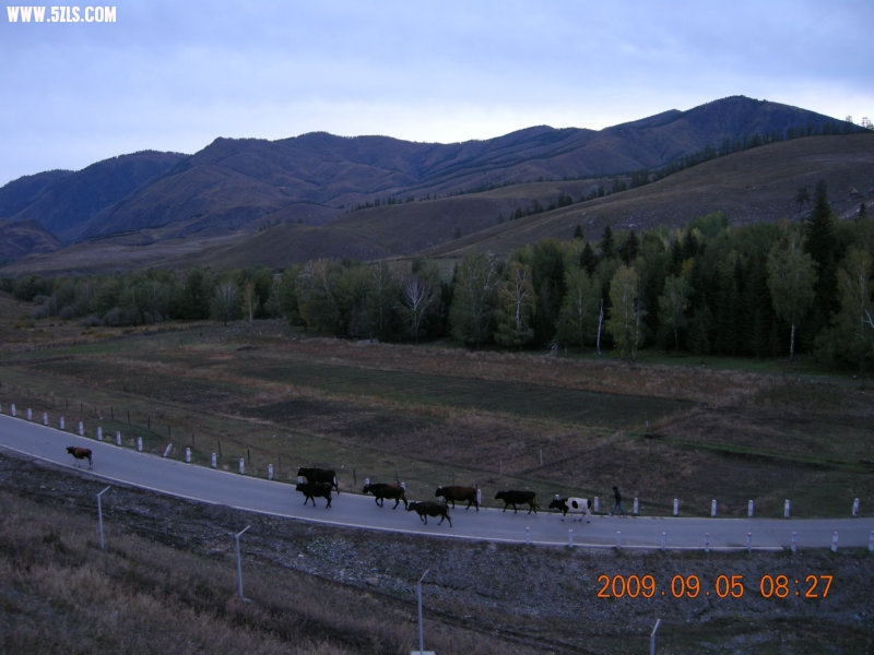 DSCN2406.JPG