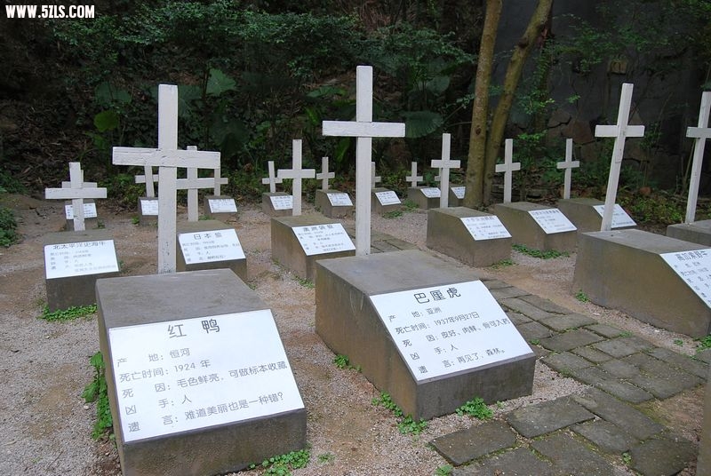 ˷ 015.jpg