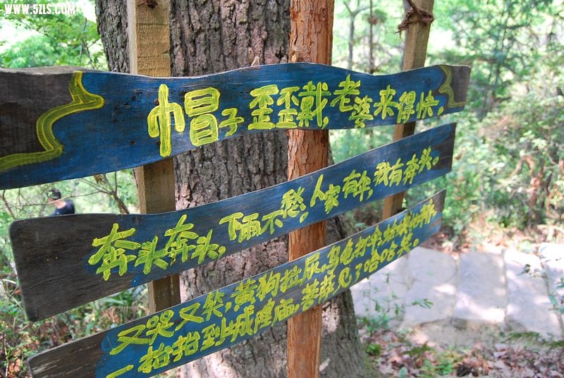 ˷ 061.jpg