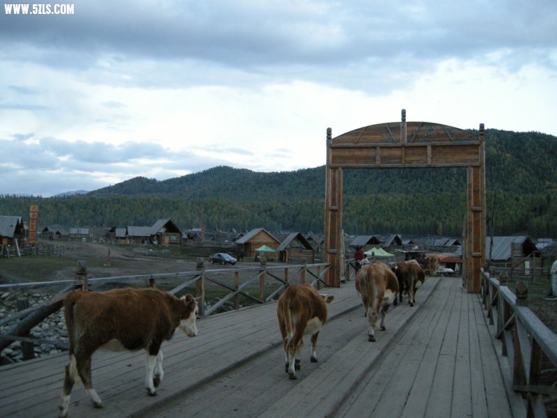 DSCN2586.JPG