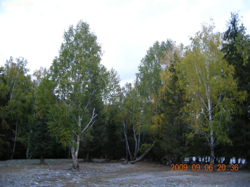 DSCN2588.JPG