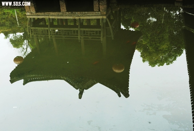 123 085.jpg