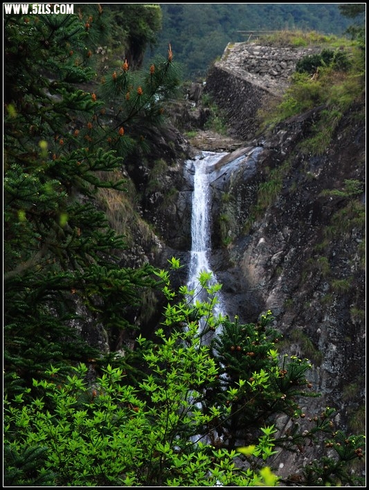 DSC_4483.jpg