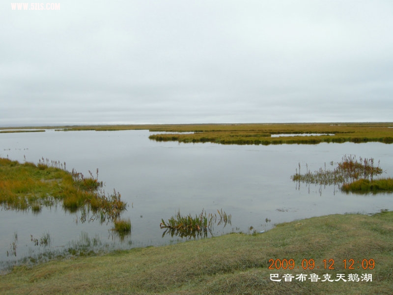 DSCN2962.JPG