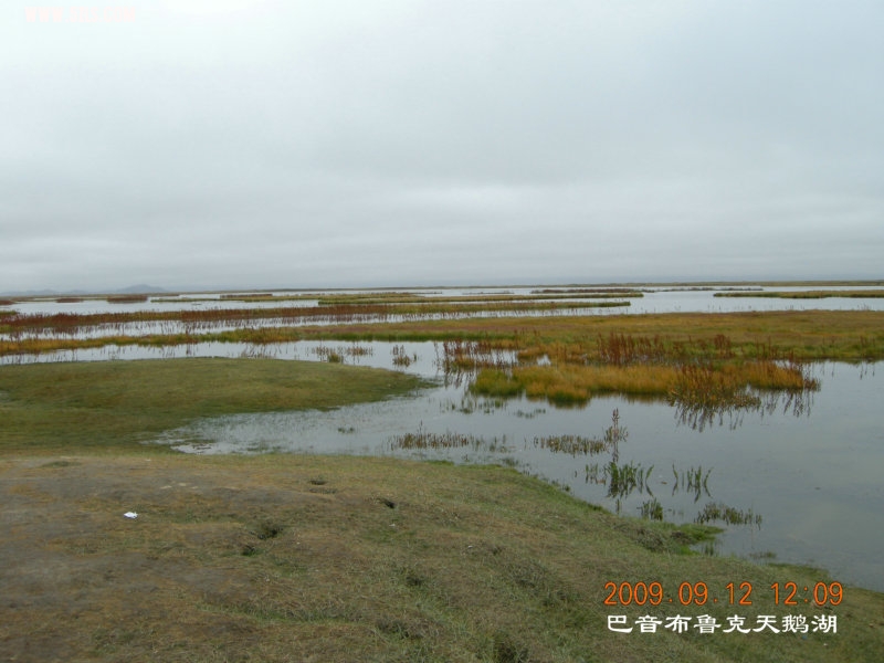 DSCN2963.JPG
