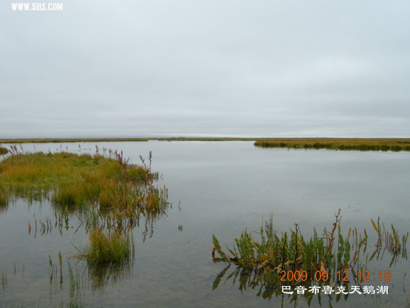 DSCN2968.JPG