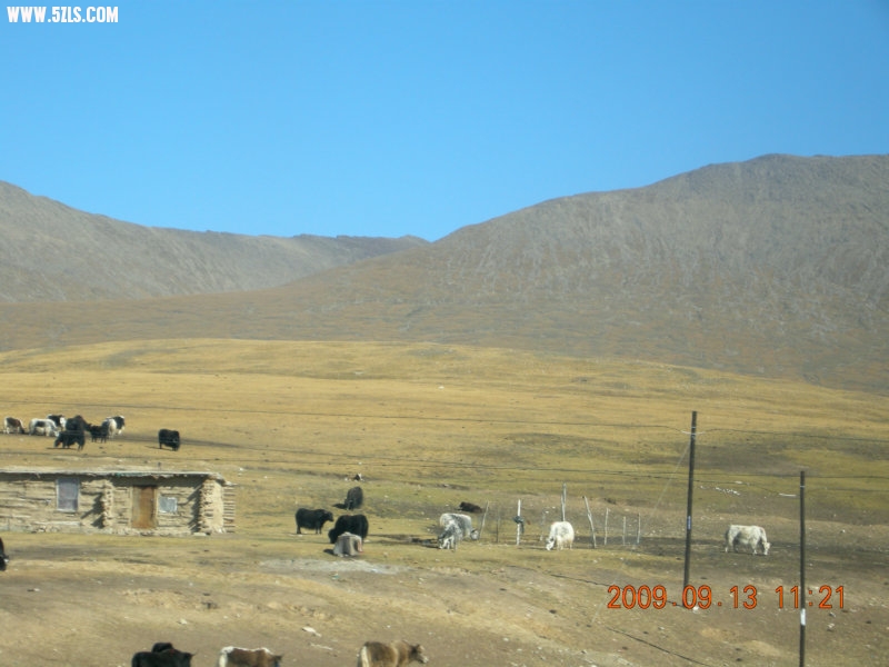 DSCN3052.JPG