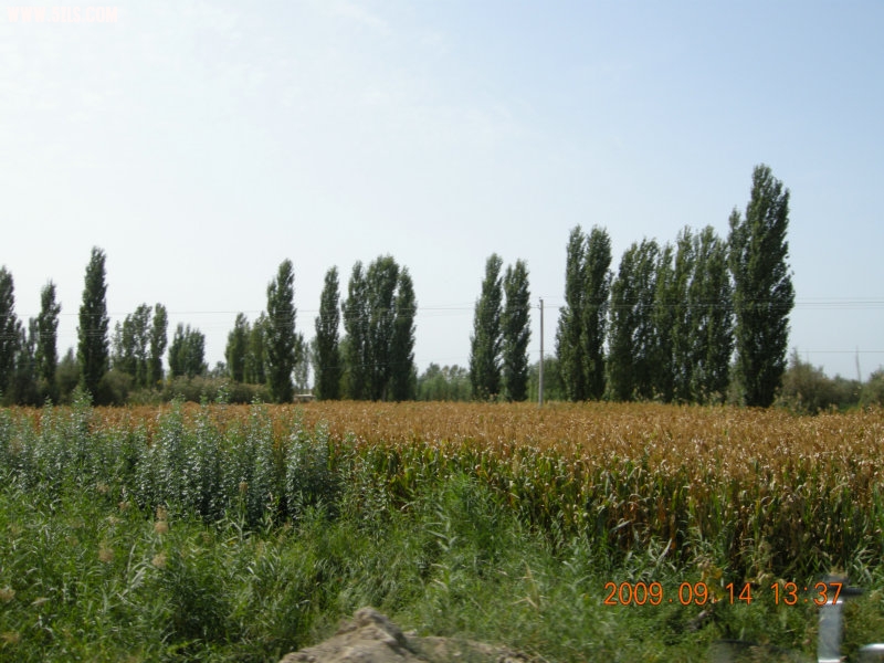 DSCN3214.JPG
