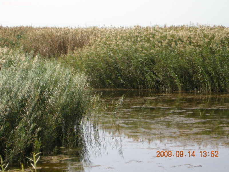 DSCN3223.JPG