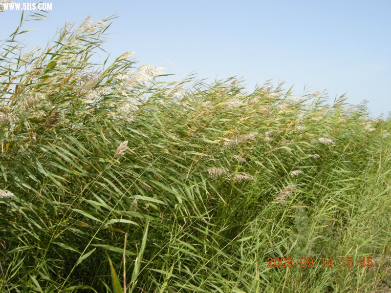 DSCN3267.JPG