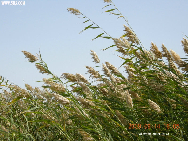 DSCN3282.JPG