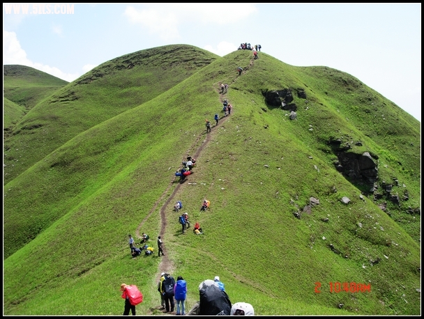 DSC04620-1.jpg