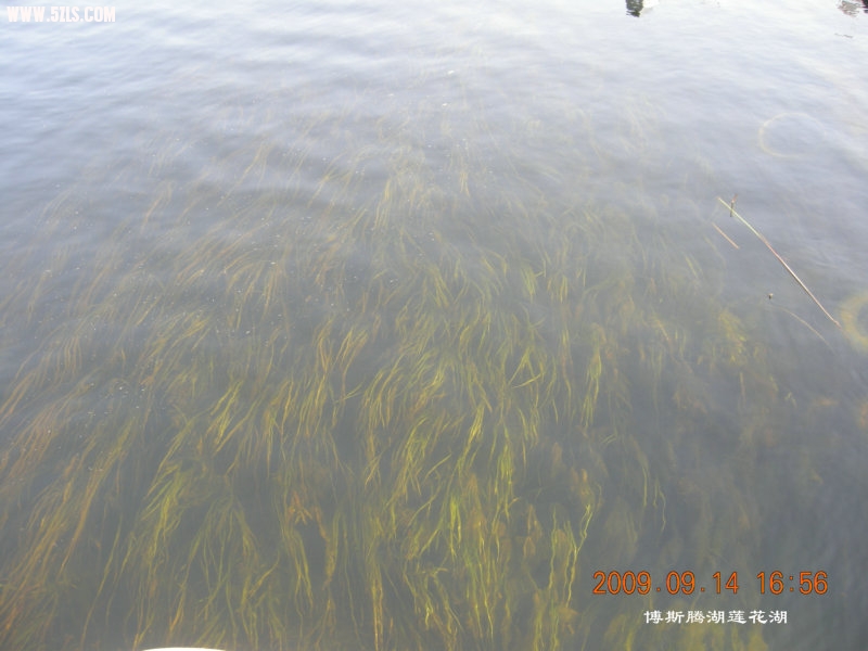 DSCN3296.JPG