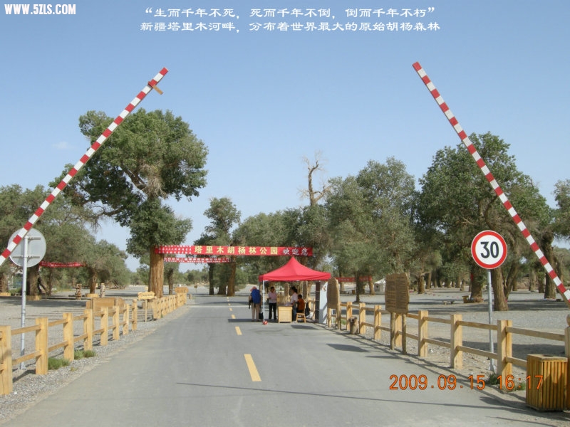 DSCN3324.JPG