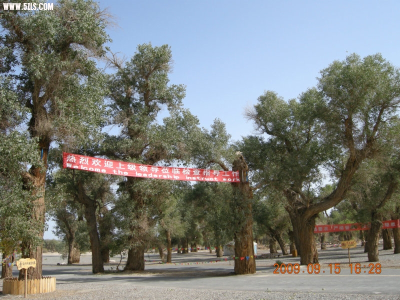 DSCN3327.JPG