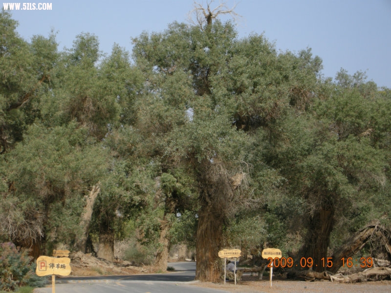DSCN3330.JPG