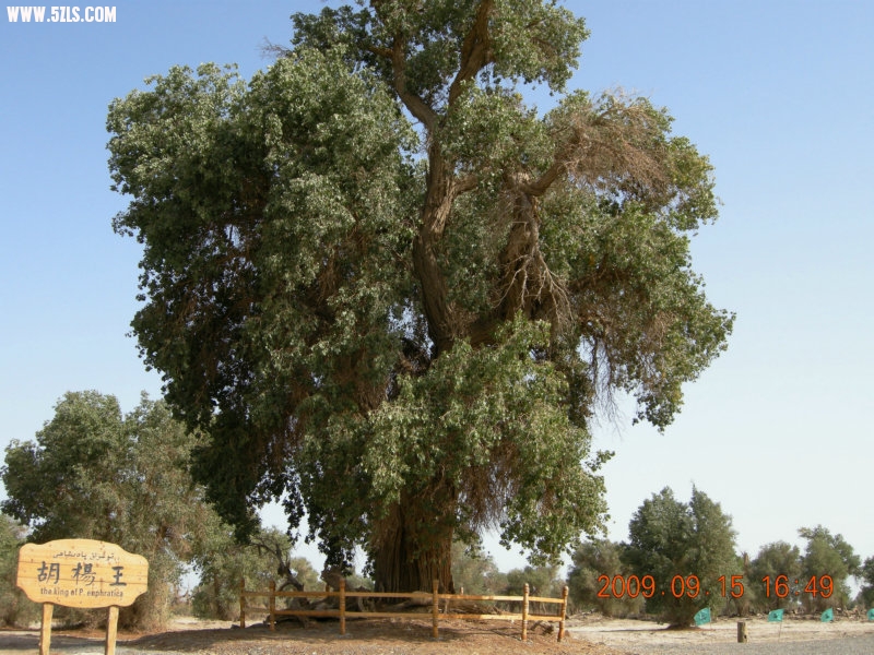 DSCN3333.JPG