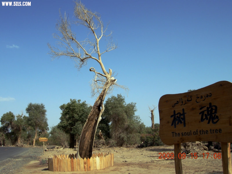 DSCN3343.JPG
