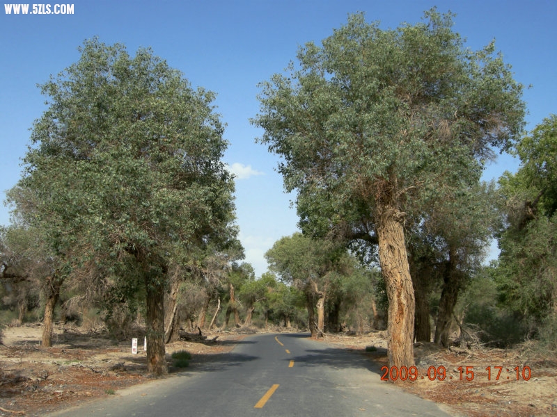 DSCN3345.JPG