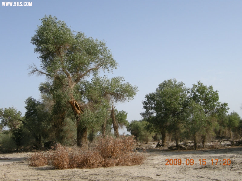 DSCN3355.JPG