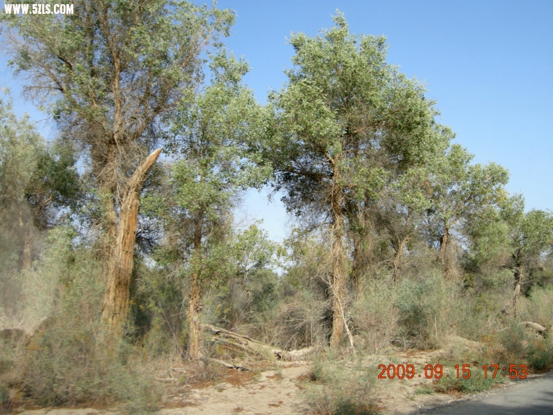 DSCN3372.JPG