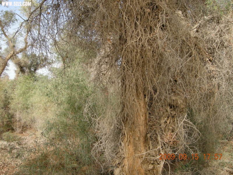 DSCN3374.JPG