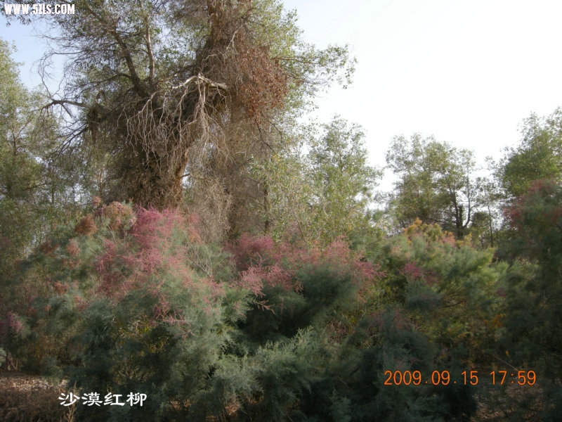 DSCN3377.JPG