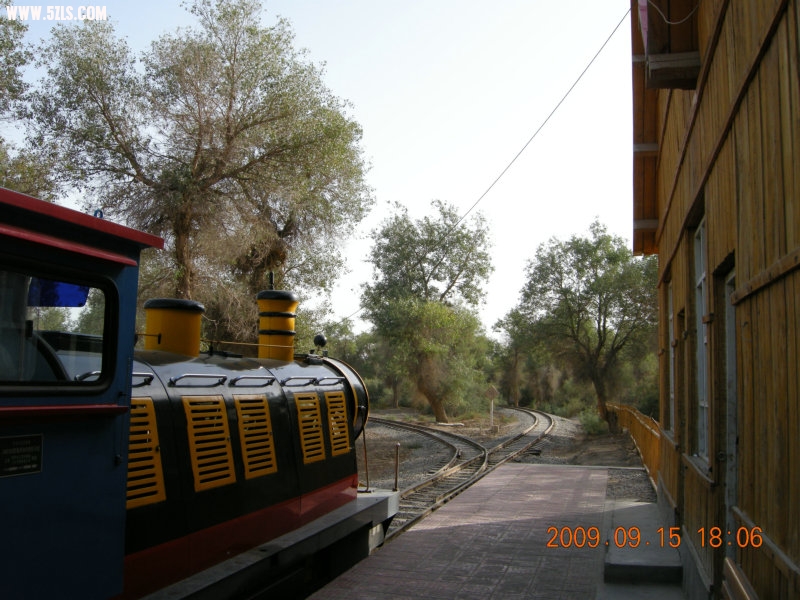 DSCN3384.JPG