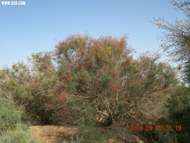 DSCN3386.JPG