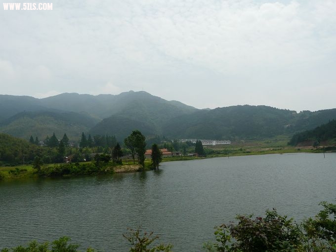 P1140023.jpg