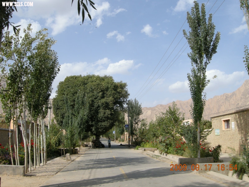 DSCN3686.JPG