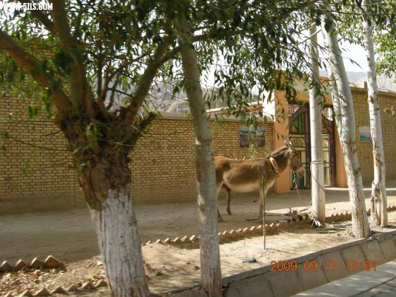 DSCN3690.JPG