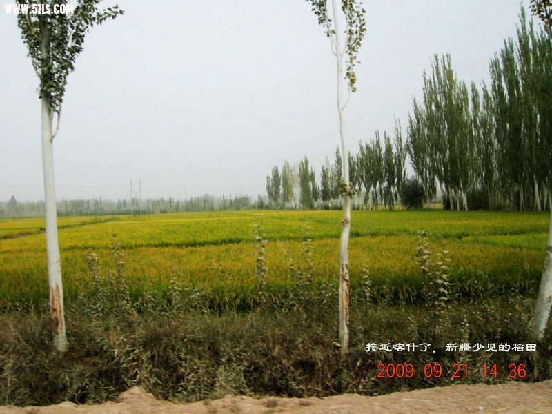 DSCN4385.JPG