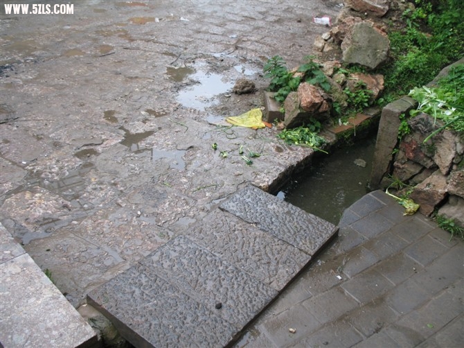 20100810082945.jpg