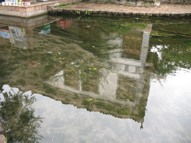 20100810082642.jpg