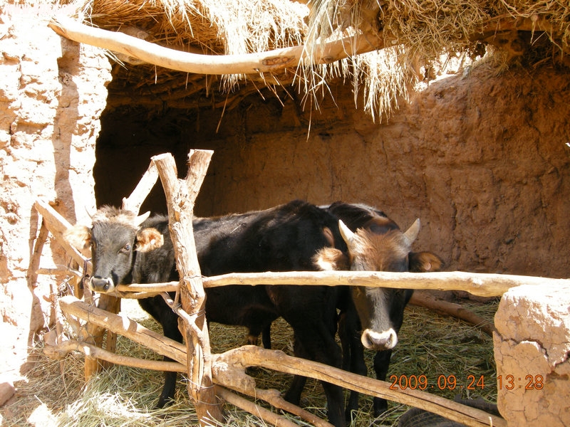 DSCN4562.JPG