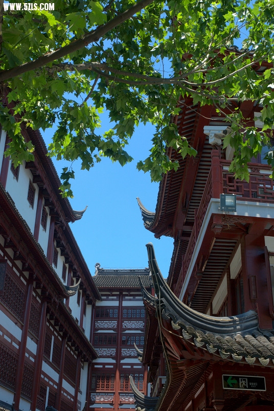 DSC_0315.jpg