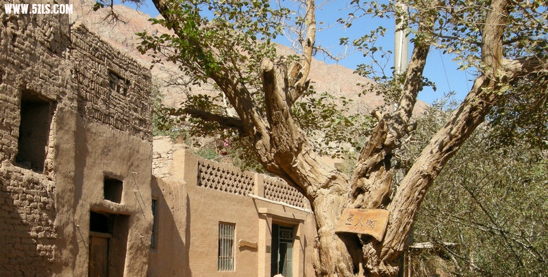 DSCN4567.JPG