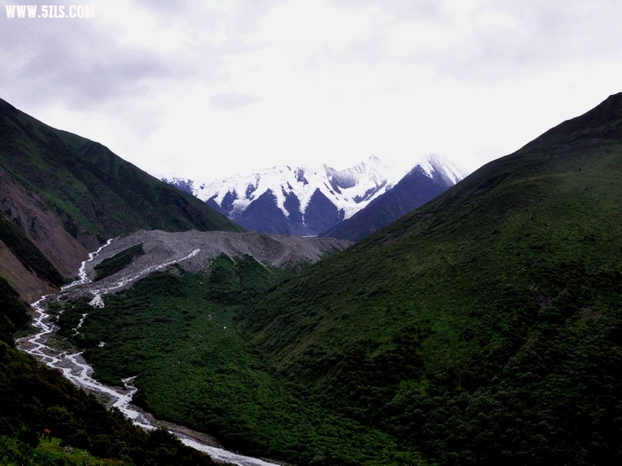 DSC_0098-1.jpg